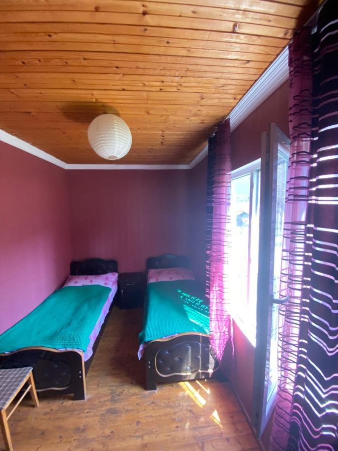 Shaulini Hotel Kashveti Exterior foto