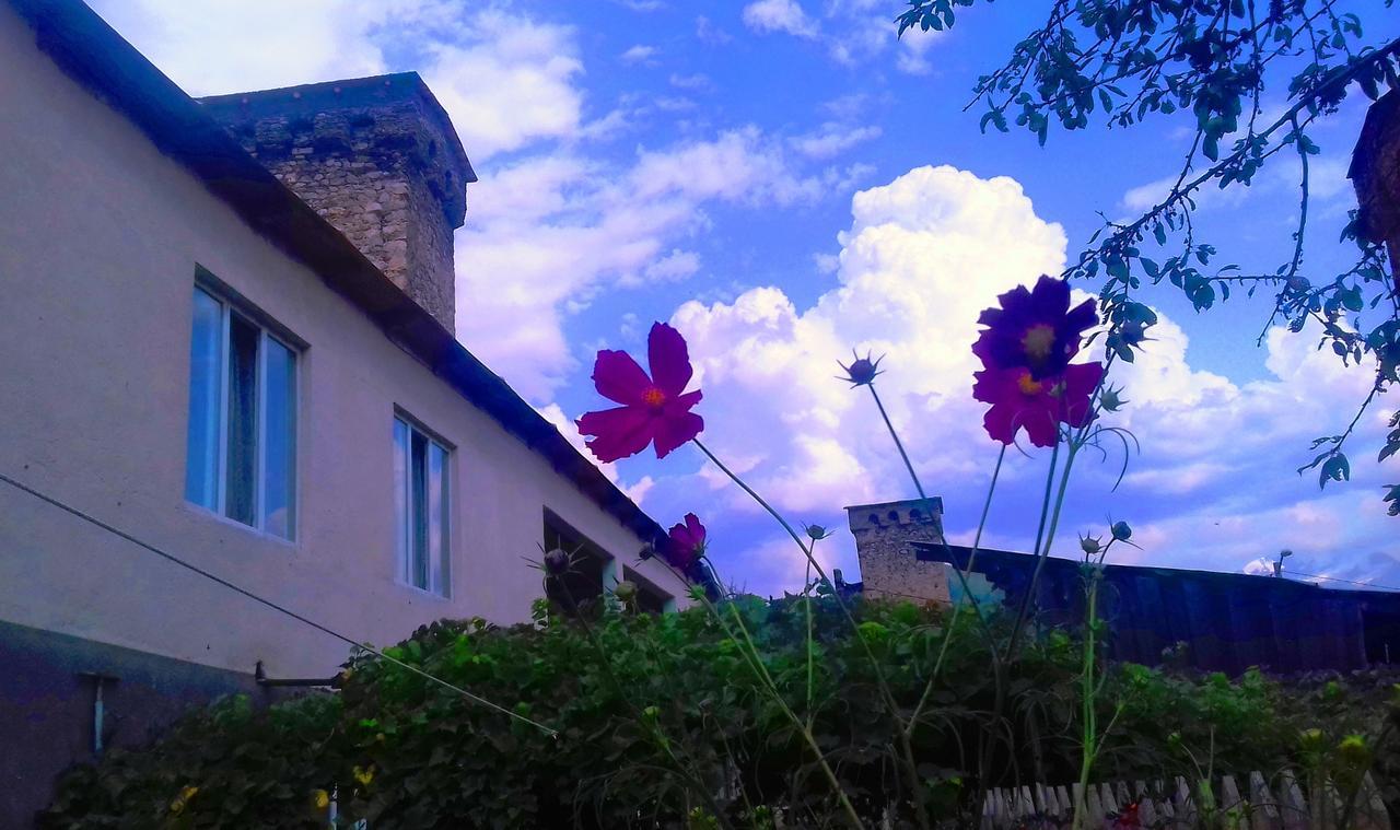 Shaulini Hotel Kashveti Exterior foto